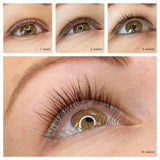 Lash lift brow